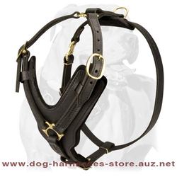 Luxury Handcrafted Leather Dog Harness Luxury Handcrafted Leather Dog Harness