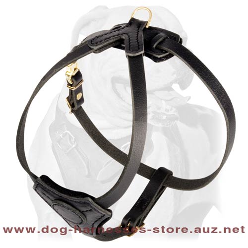 Simple Leather Puppy Harness