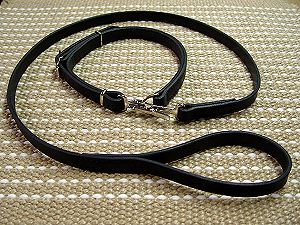 dog collar with leash attached
