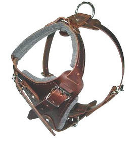 longboarding dog harness