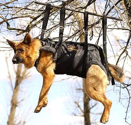 german shepherd tactical harness